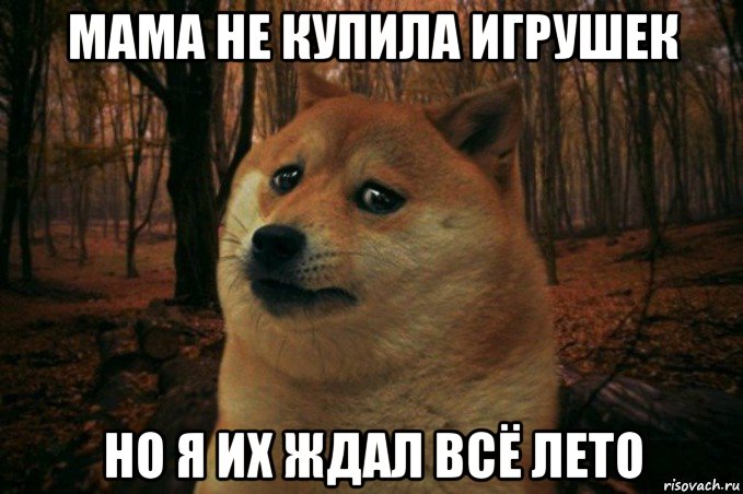 мама не купила игрушек но я их ждал всё лето, Мем SAD DOGE