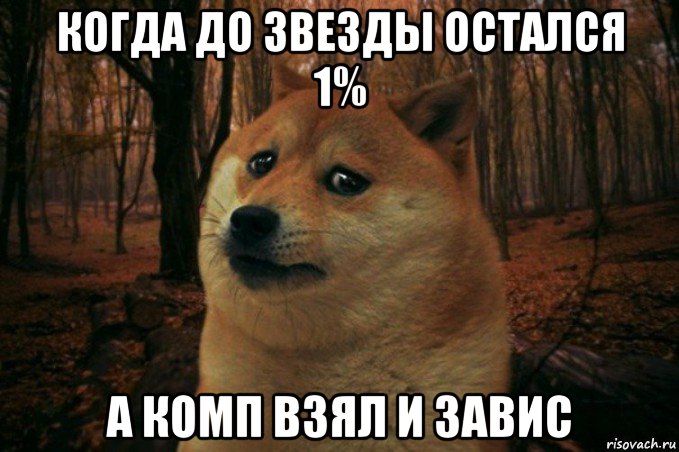 когда до звезды остался 1% а комп взял и завис, Мем SAD DOGE