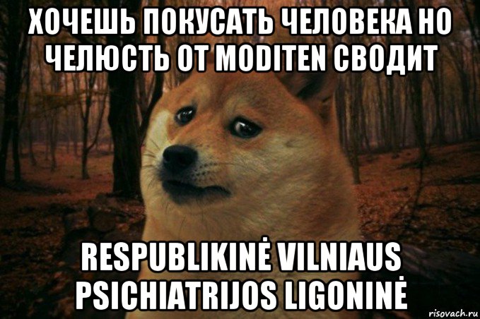 хочешь покусать человека но челюсть от moditen сводит respublikinė vilniaus psichiatrijos ligoninė, Мем SAD DOGE