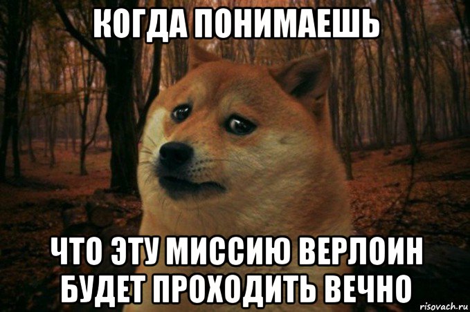 когда понимаешь что эту миссию верлоин будет проходить вечно, Мем SAD DOGE