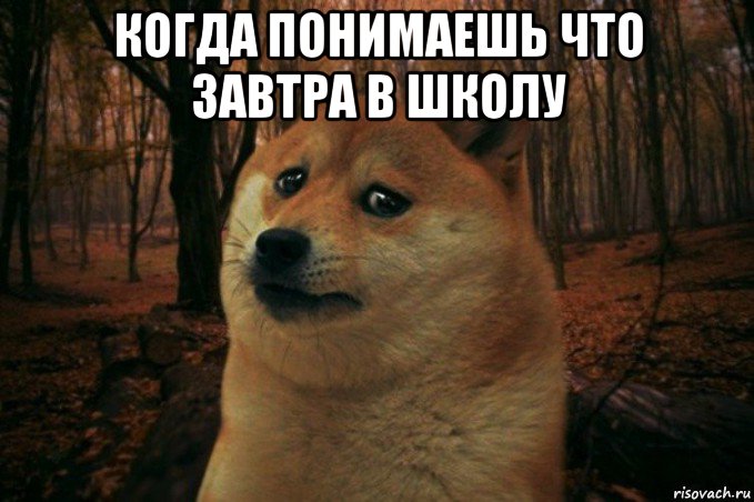 когда понимаешь что завтра в школу , Мем SAD DOGE