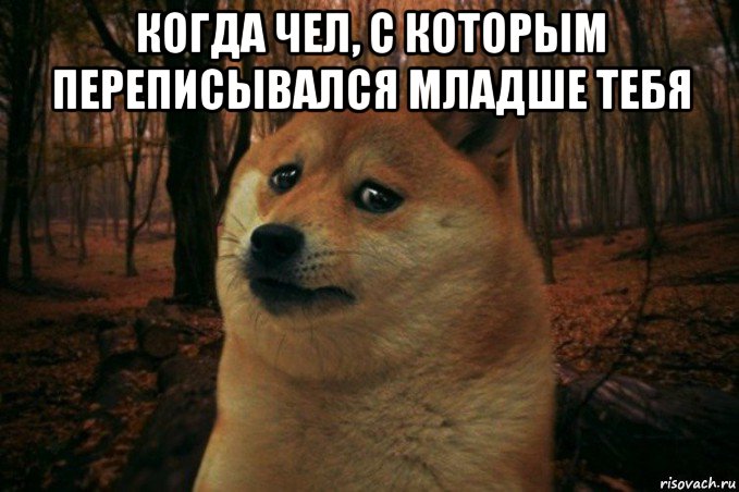 когда чел, с которым переписывался младше тебя , Мем SAD DOGE