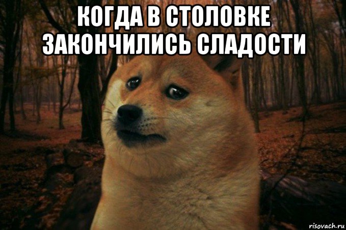 когда в столовке закончились сладости , Мем SAD DOGE