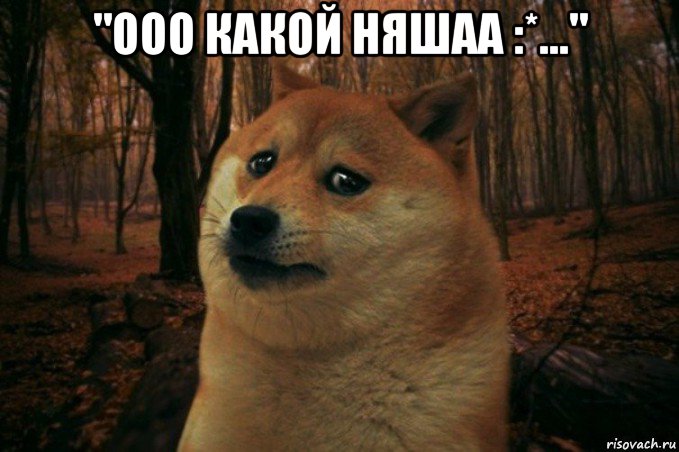 "ооо какой няшаа :*..." , Мем SAD DOGE