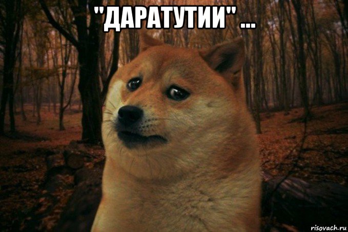 "даратутии" ... , Мем SAD DOGE