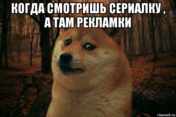 когда смотришь сериалку , а там рекламки , Мем SAD DOGE