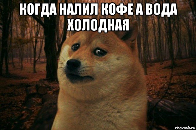 когда налил кофе а вода холодная , Мем SAD DOGE