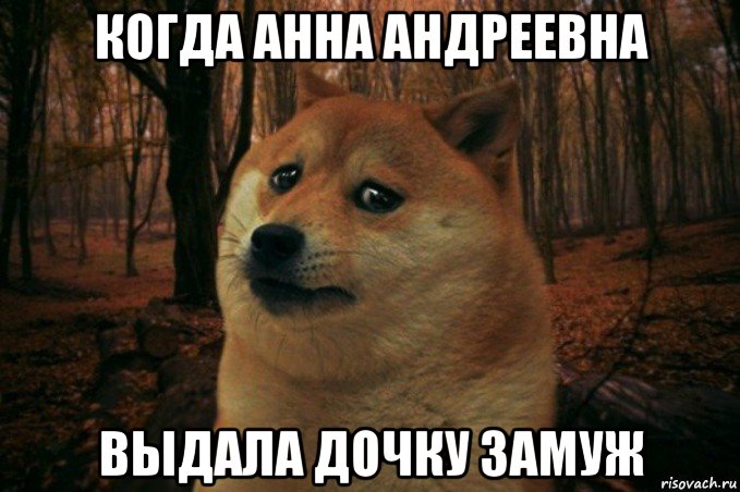 когда анна андреевна выдала дочку замуж, Мем SAD DOGE