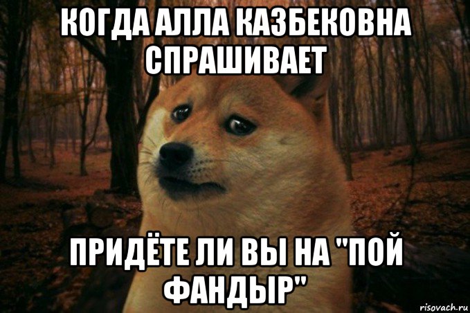 когда алла казбековна спрашивает придёте ли вы на "пой фандыр", Мем SAD DOGE