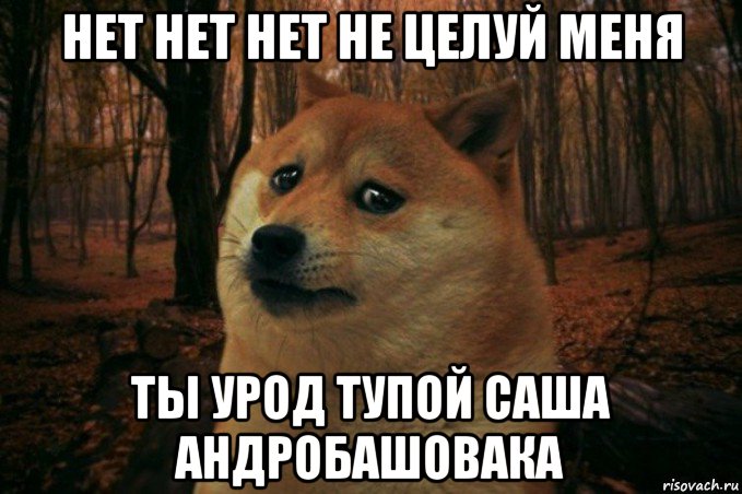 нет нет нет не целуй меня ты урод тупой саша андробашовака, Мем SAD DOGE