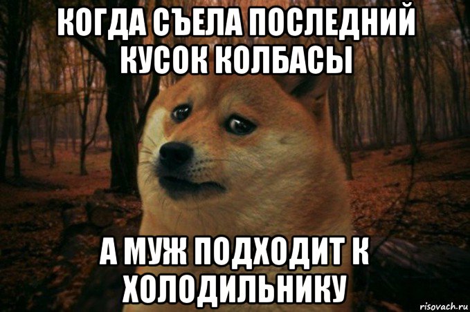 когда съела последний кусок колбасы а муж подходит к холодильнику, Мем SAD DOGE