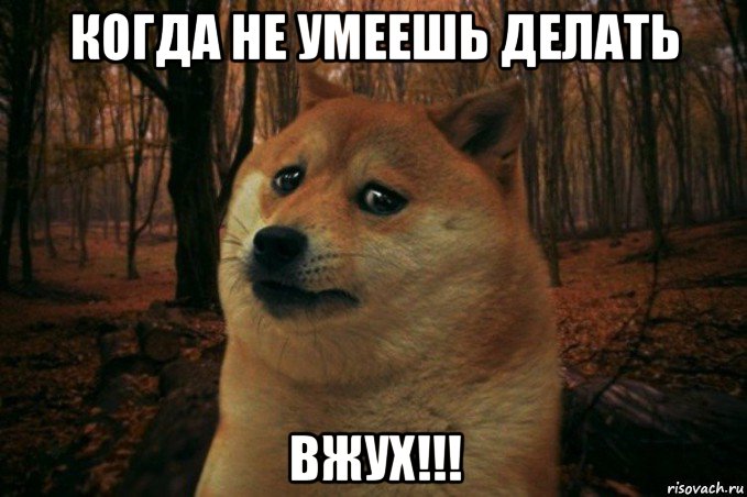 когда не умеешь делать вжух!!!, Мем SAD DOGE