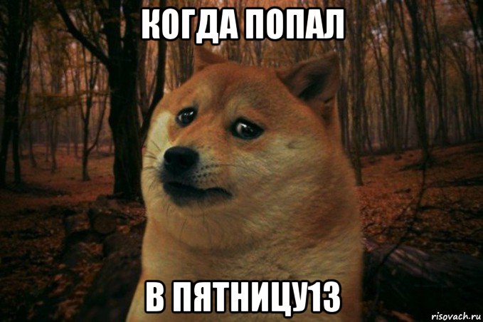 когда попал в пятницу13, Мем SAD DOGE