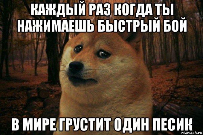 каждый раз когда ты нажимаешь быстрый бой в мире грустит один песик, Мем SAD DOGE