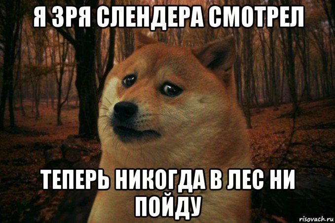 я зря слендера смотрел теперь никогда в лес ни пойду, Мем SAD DOGE