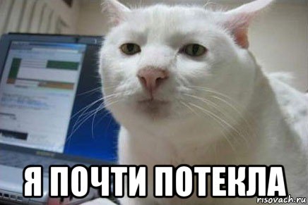  я почти потекла