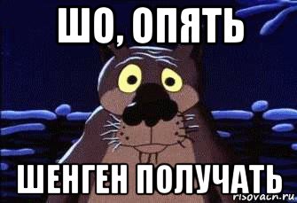 шо, опять шенген получать
