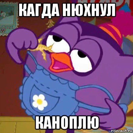 кагда нюхнул каноплю