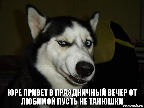 юре привет в праздничный вечер от любимой пусть не танюшки, Комикс  Собака подозревака