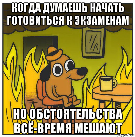 когда думаешь начать готовиться к экзаменам но обстоятельства всё-время мешают