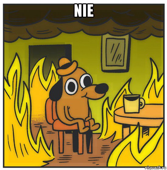 nie 