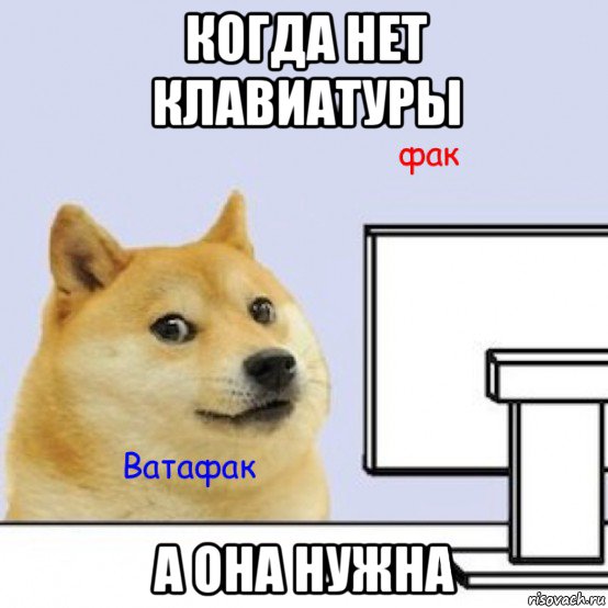когда нет клавиатуры а она нужна, Мем Собака за компьютером