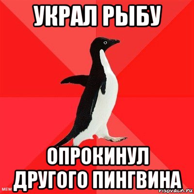 украл рыбу опрокинул другого пингвина, Мем  социально-агрессивный пингвин
