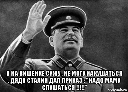  я на вишенке сижу , не могу накушаться . дядя сталин дал приказ : "надо маму слушаться !!!!!", Мем сталин расстрелять