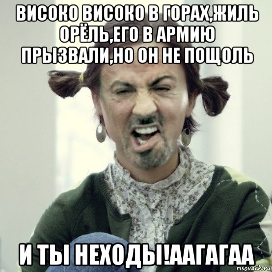 високо високо в горах,жиль орёль,его в армию прызвали,но он не пощоль и ты неходы!аагагаа, Мем Сталоне-девка