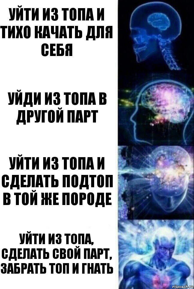 уйти из топа и тихо качать для себя уйди из топа в другой парт уйти из топа и сделать подтоп в той же породе уйти из топа, сделать свой парт, забрать топ и гнать, Комикс  Сверхразум