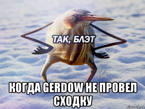  когда gerdow не провел сходку, Мем  Так блэт птица с руками