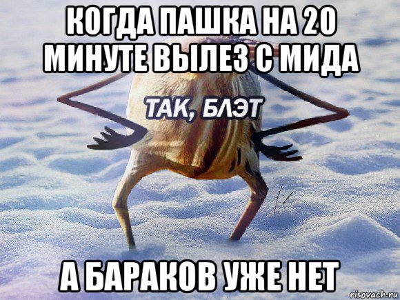 когда пашка на 20 минуте вылез с мида а бараков уже нет, Мем  Так блэт птица с руками