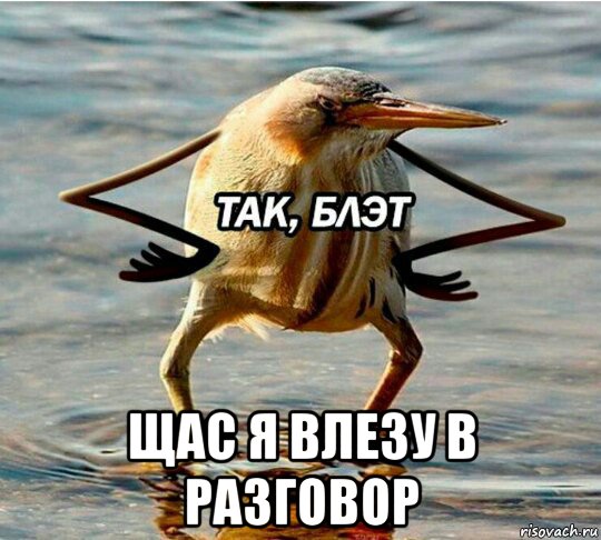  щас я влезу в разговор