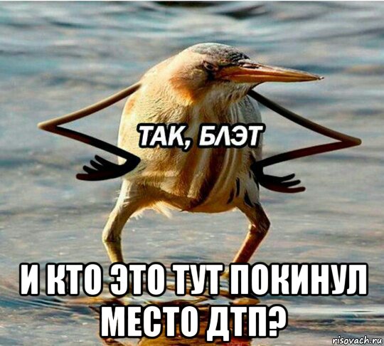  и кто это тут покинул место дтп?
