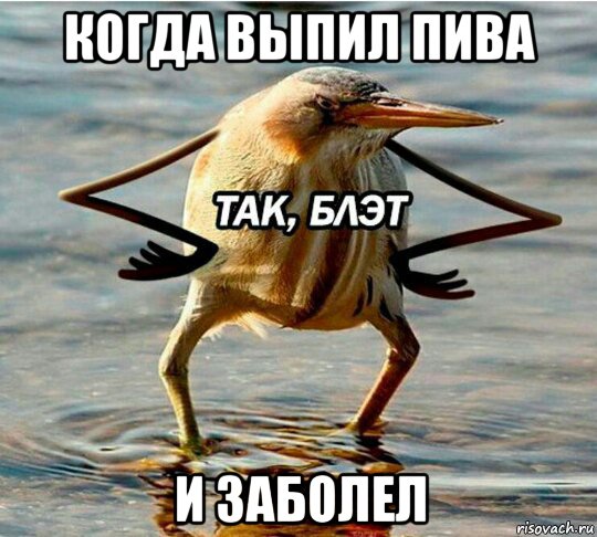 когда выпил пива и заболел