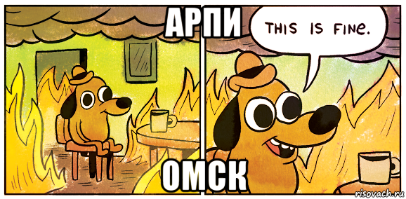 арпи омск