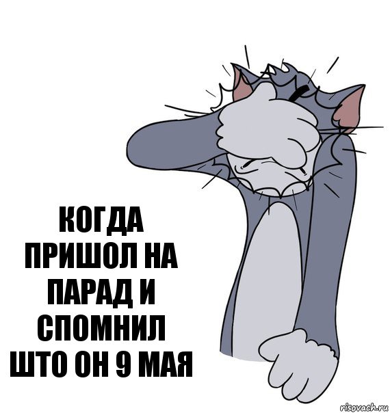 Когда пришол на парад и спомнил што он 9 мая, Комикс Том фэйспалм