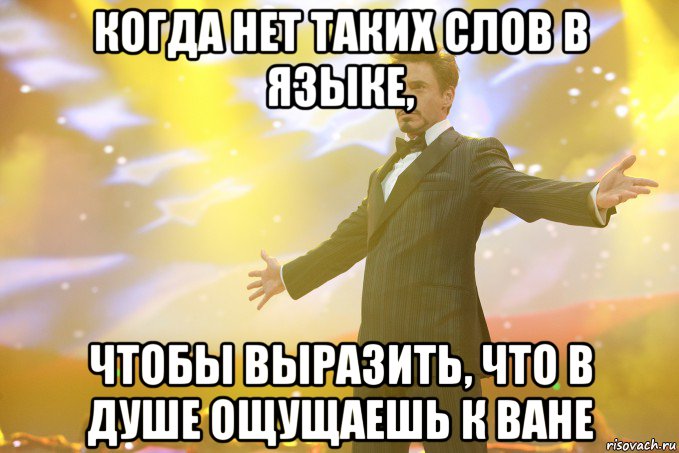 когда нет таких слов в языке, чтобы выразить, что в душе ощущаешь к ване, Мем Тони Старк (Роберт Дауни младший)