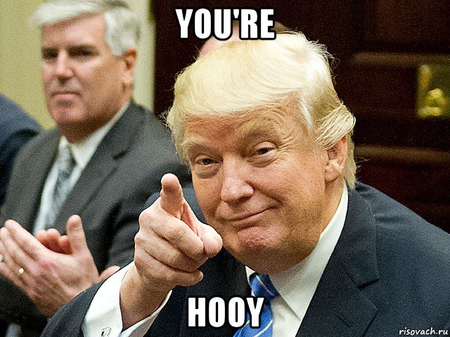 you're hooy, Мем Трамп