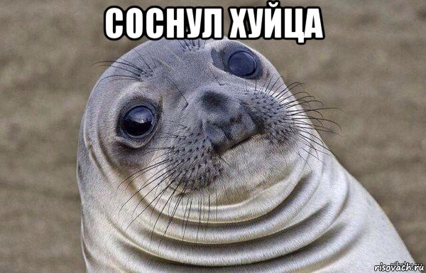 соснул хуйца 
