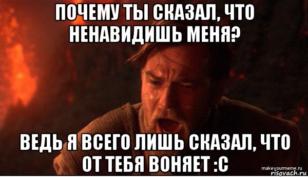 почему ты сказал, что ненавидишь меня? ведь я всего лишь сказал, что от тебя воняет :с