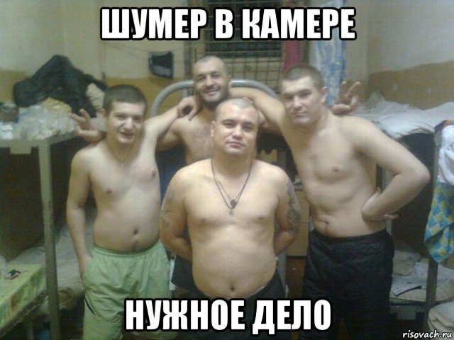 шумер в камере нужное дело