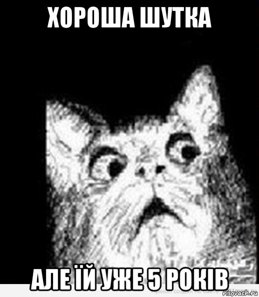хороша шутка але їй уже 5 років
