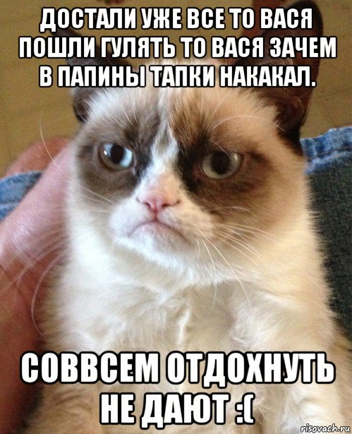 достали уже все то вася пошли гулять то вася зачем в папины тапки накакал. соввсем отдохнуть не дают :(