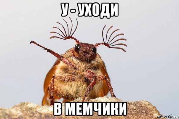 у - уходи в мемчики, Мем Уходи