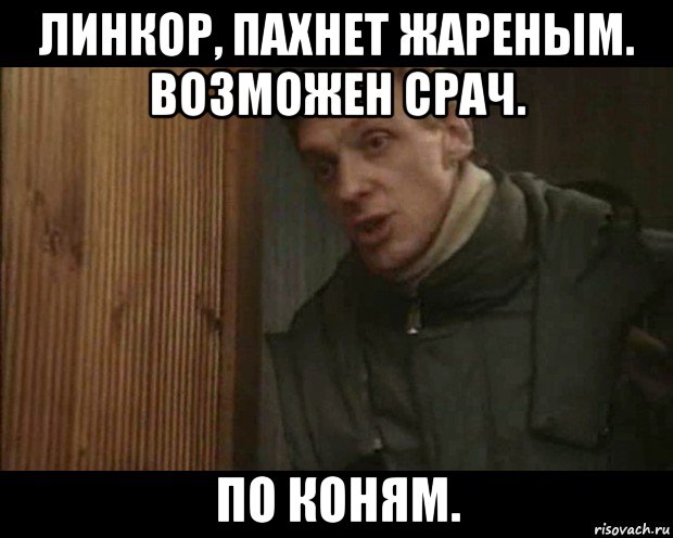 линкор, пахнет жареным. возможен срач. по коням.