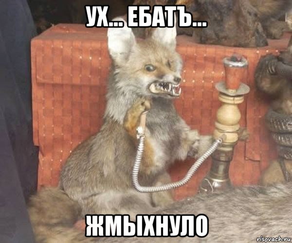 ух... ебатъ... жмыхнуло