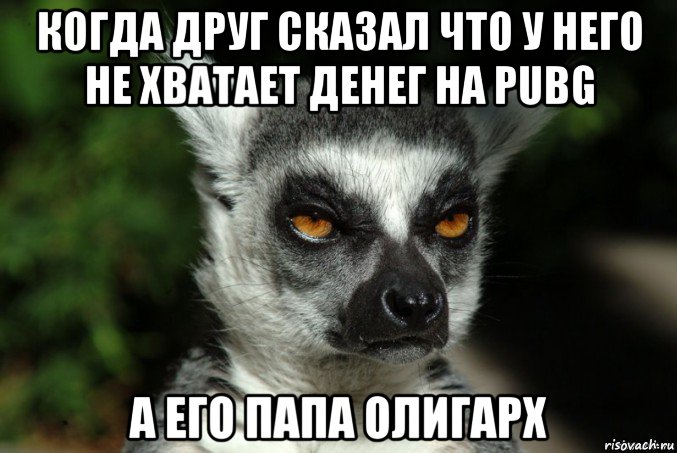 когда друг сказал что у него не хватает денег на pubg а его папа олигарх, Мем   Я збагоен