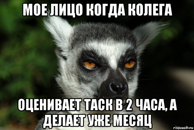 мое лицо когда колега оценивает таск в 2 часа, а делает уже месяц, Мем   Я збагоен