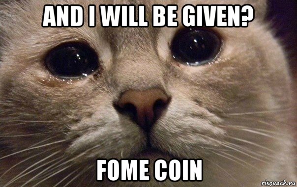 and i will be given? fome coin, Мем   В мире грустит один котик
